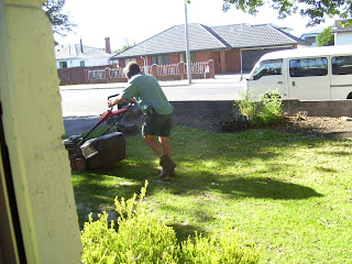 ニュージーランド　芝刈り　写真　画像