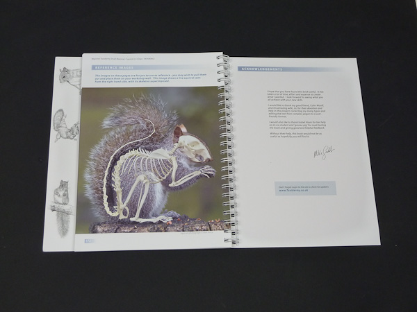 Uk Taxidermy New Book Beginner Taxidermy Small Mammal
