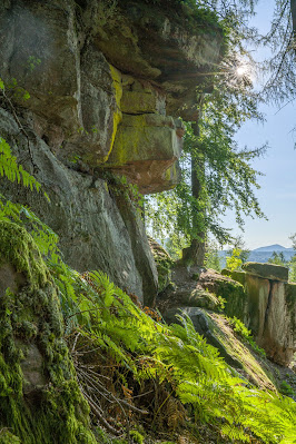 Forsthaus Annweiler Rundwege 3 und 5 | Zum Kirschfelsen und durch das Eiderbachtal | Wandern Südliche Weinstrasse 08