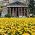 Saint-Petersburg mùa lá rụng