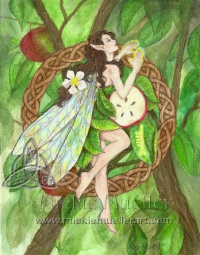 Celtic Tree Fairies Series One To Go