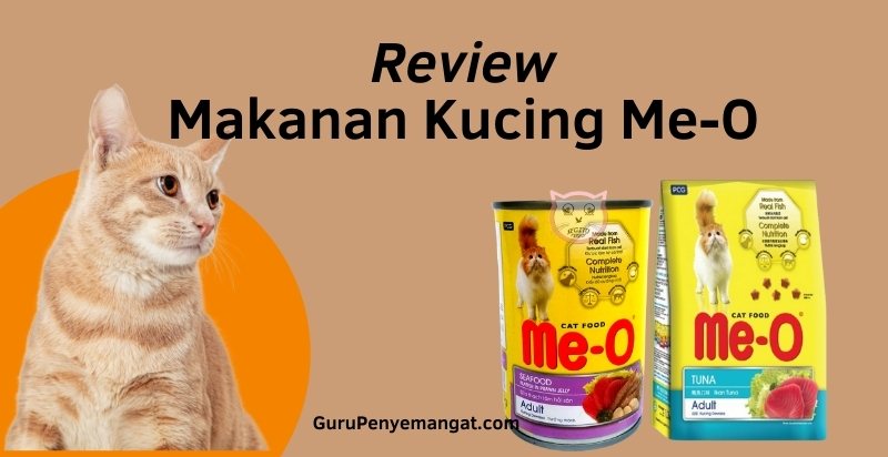 Review Makanan Kucing MeO