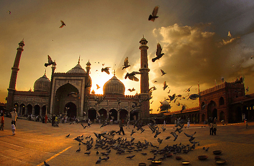 Places To Visit in Delhi