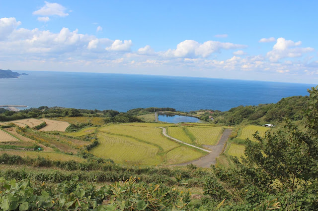 日本の棚田100選に選ばれた、山口県の東後畑棚田【y】