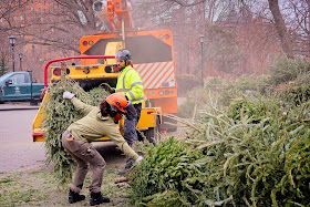 NYC Mulchfest 2024