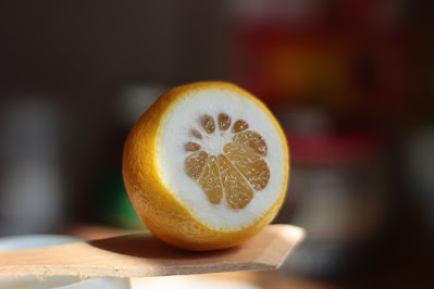orange, fruit, food, citrus, fresh, healthy, isolated, juicy, white, slice, grapefruit, vitamin, yellow, half, ripe, diet, sweet, juice, lemon, health, fruits, color, freshness, natural, cut