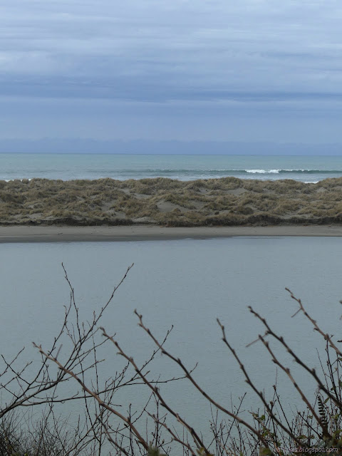 49: river, sand with grass, and ocean