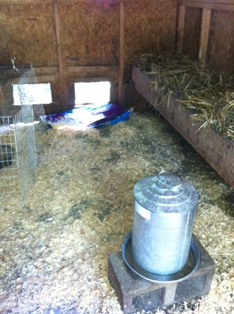 tips to help you keep your chicken coop smelling fresh if your coop