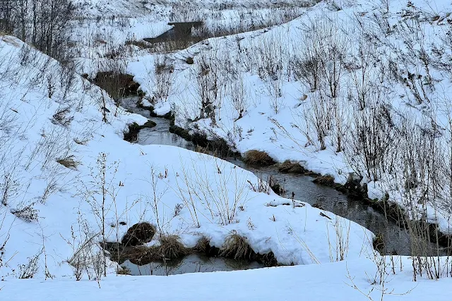 улица Бориса Пастернака, река Алёшинка