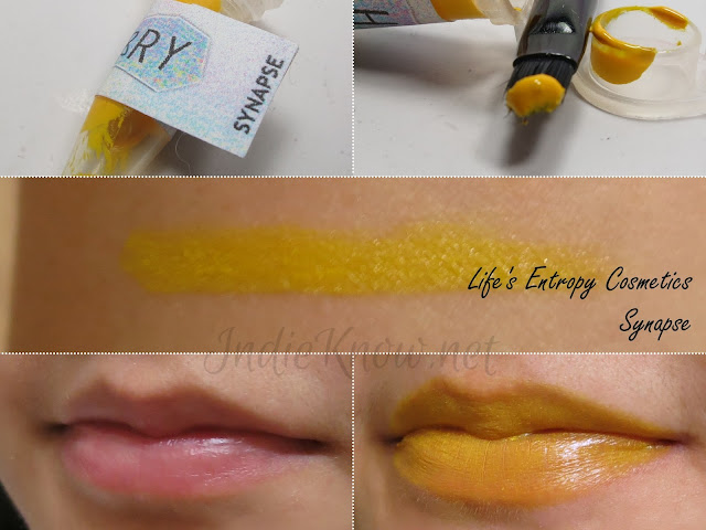 Life's Entropy Cosmetics Lip Theory Synapse
