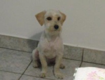Billy2