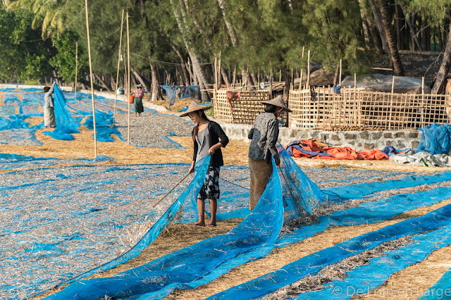 Linthar-Ngapali-Birmanie-Myanmar