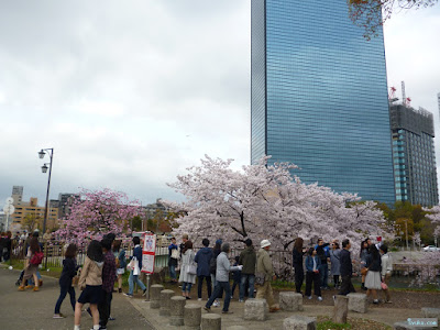 桜と飛行機