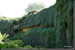 Umpherston Sinkhole Mt Gambier