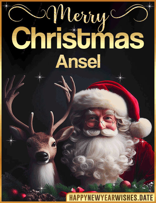 Merry Christmas gif Ansel