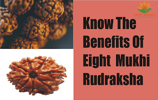 Know the Benefits Of Eight Mukhi Rudraksha