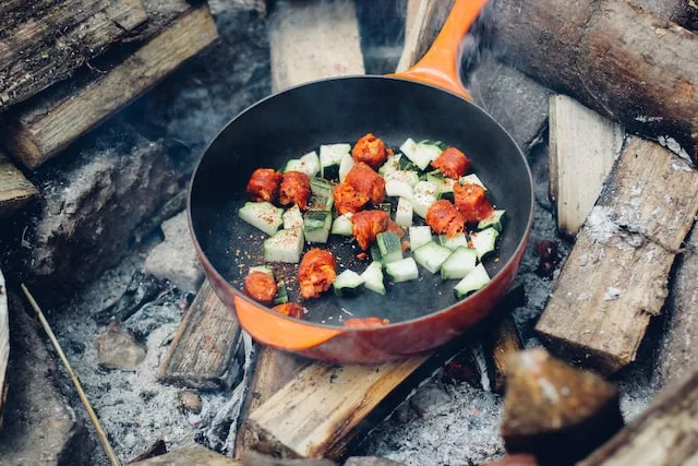 Wood You Like to Cook? A Guide for Cooking Over a Wood Fire