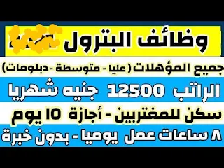 وظائف شركة نيس فيركروفت في دولة قطر