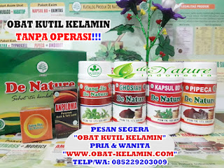 Obat Kutil Kelamin