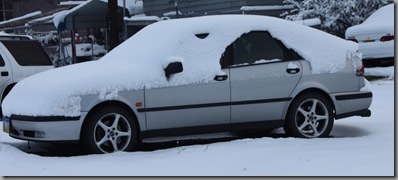 snow 010