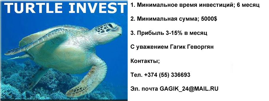 Turtle Invest Инвестиционный фонд