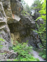 DSCN4152