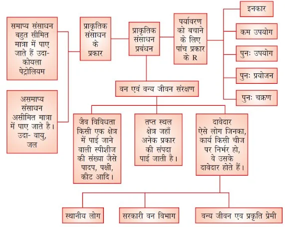 Notes of Science in Hindi for Class 10 Chapter 14 प्राकृतिक संसाधन प्रबंधन विज्ञान