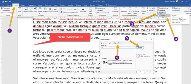 inserire oggetto in word