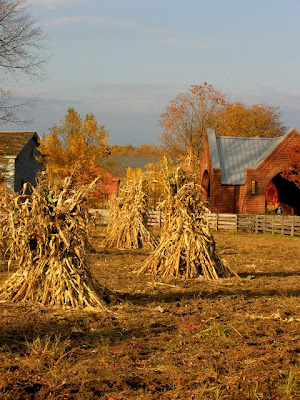 Gourdseed Corn Pictures. So instead, corn stalks were