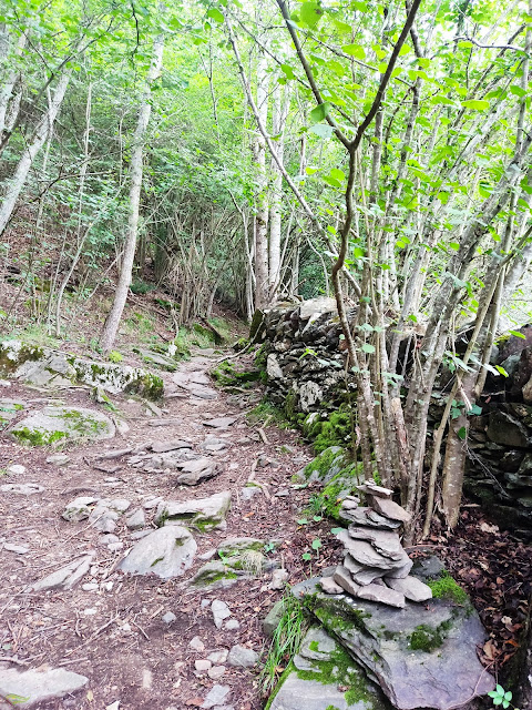 Ruta del Bosque Encantado de Carlac (Valle de Arán)
