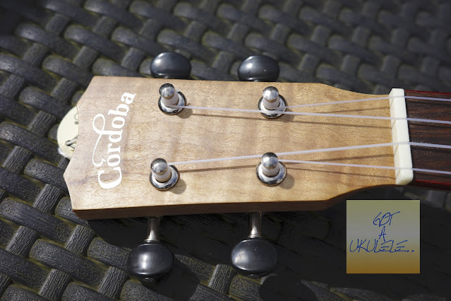 Cordoba 24C Concert Ukulele headstock