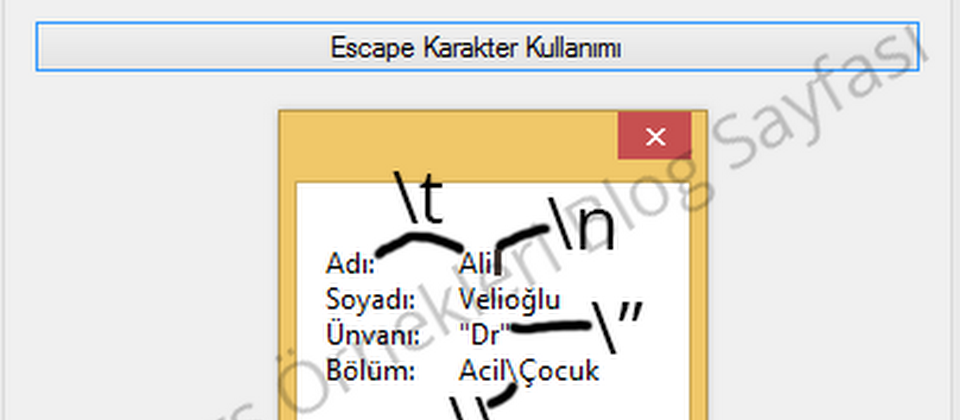 C# ve C++ Kaçış karakterleri (escape characters) listesi ve örnek anlatımı