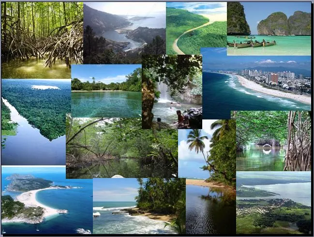 Imágenes Ecosistema Acuático