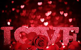 Rose Day 2013 cards|wallpapers|quotes|sms