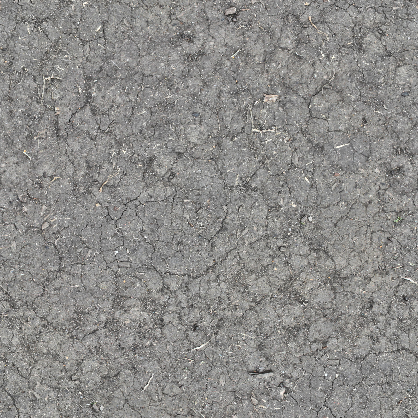 HIGH RESOLUTION TEXTURES  Seamless hardened dirt ground  