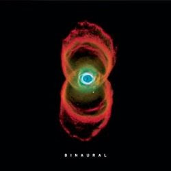 Binaural - Pearl Jam descarga download completa complete discografia mega 1 link