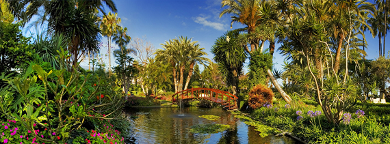 Jardin Botanico De Aclimatacion De La Orotava