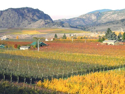 Patchwork-Autumn_Barb-Derksen