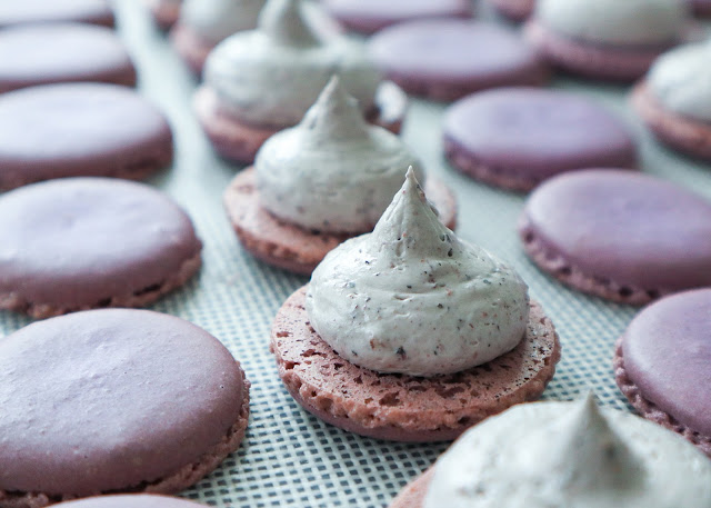 shells arranged vertically. blueberry buttercream piped on each shell.