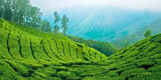 Kerala Honeymoon Packages