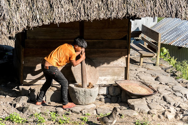 Pula-Région de l'Ifugao-Luçon-Philippines