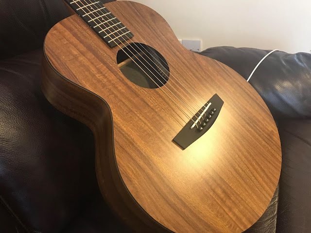Enya EM-X1 Guitar