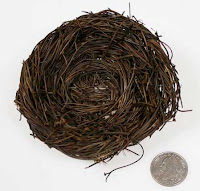 Twig Bird Nest