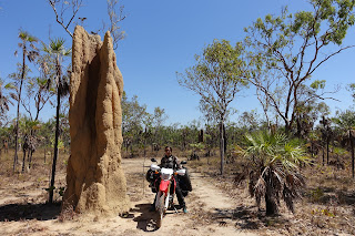 Riesige Termitenbehausungen im Litchfield Nationalpark