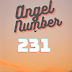 Angel Number 231: Empowering Spiritual Guidance for Positive Transformation in Personal and Business Life