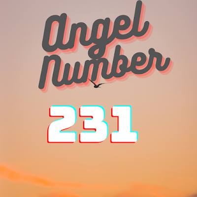 Angel Number 231