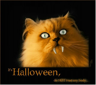 happy halloween cat wish card