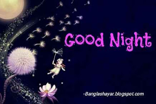 Good Night Bangla Image Free Download