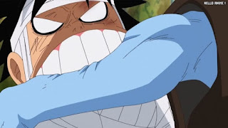 ワンピースアニメ 505話 ルフィ Monkey D. Luffy | ONE PIECE Episode 505