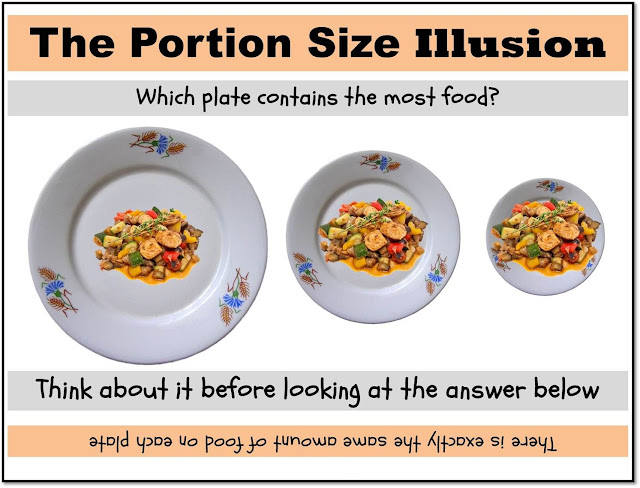 The+portion+size+illusion+-+MotiveWeight.Blogspot.com.jpg (1493×1139)